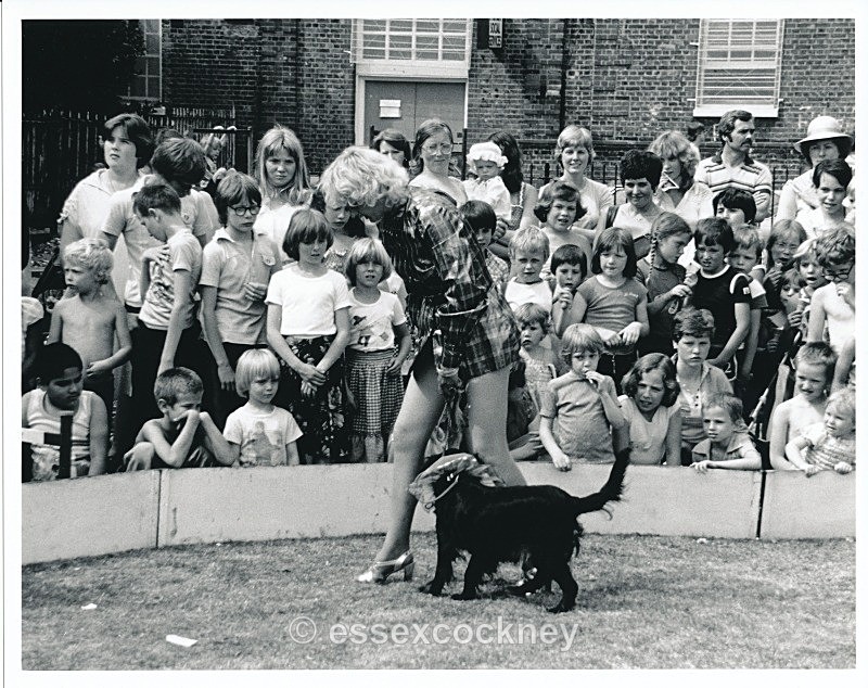  - Open air Circus Barmy park Bethnal green