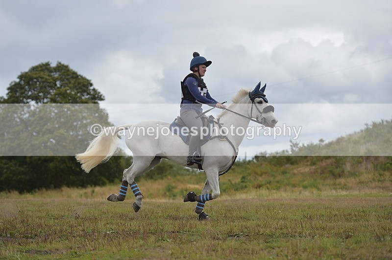 NGP_5203 - XC Time 13:36 to 13:47