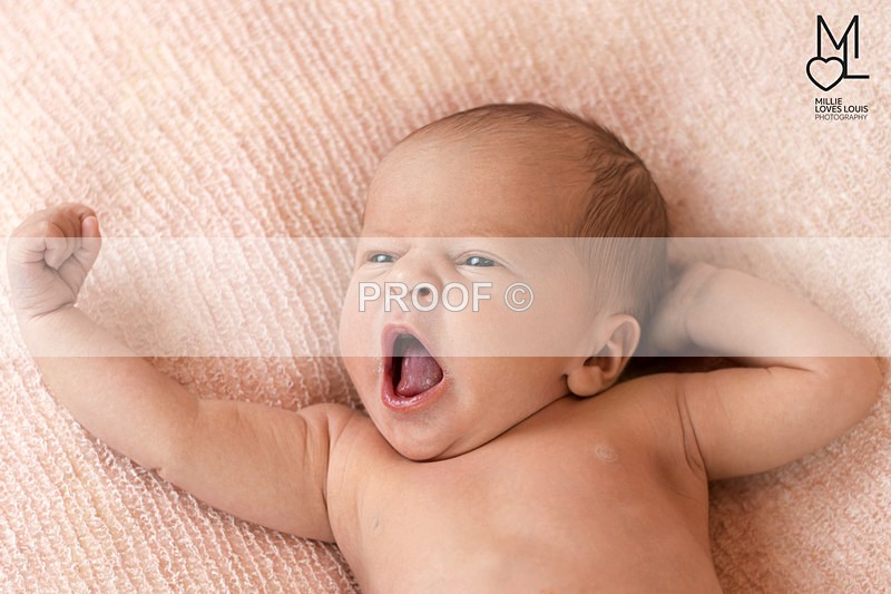 Estella Photoshoot 25th August 2016 Millie Loves Louis Photography  14 - Newborn Photoshoots