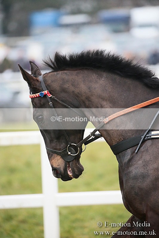 PtP 170219 -381 - Combined Services Point-To-Point Larkhill 17/02/19