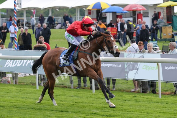 yr11052022r3-18 - Race 3 3.00pm 1895 Duke of York Clipper Logistics Stakes
