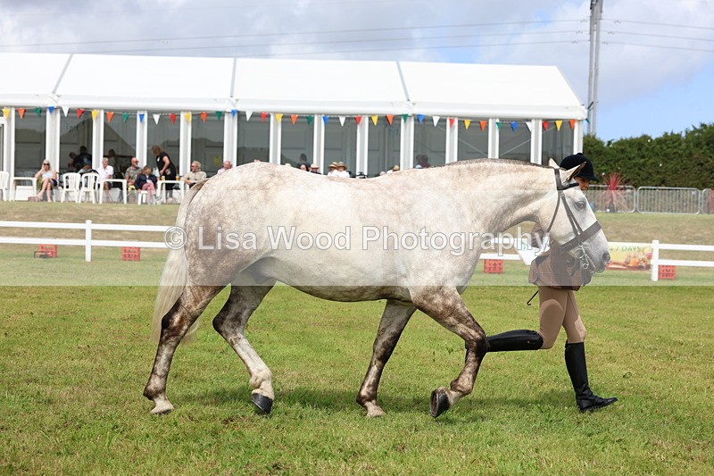 3E7A0370 - Class 6: Rising Star Maxi Cobs