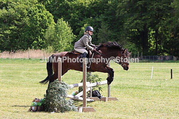 IMG_4272 - Working Hunter