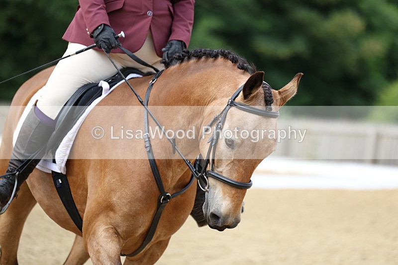 3E7A9145 - Class 2: Intro 1 2024 Section B