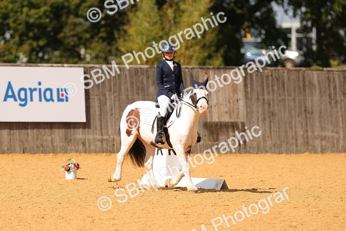 SBM_44089 - D22 - Junior Championship - Intro B