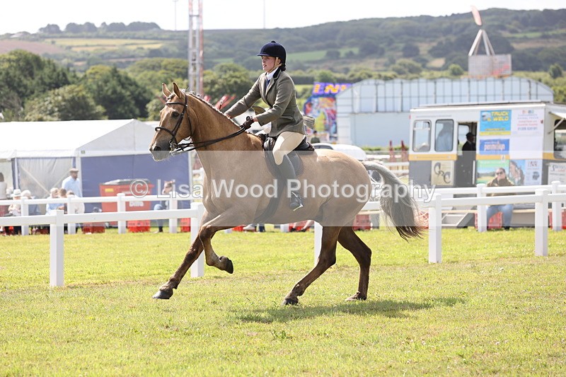JPP_1334 - Class 17: Cornish Combination Open