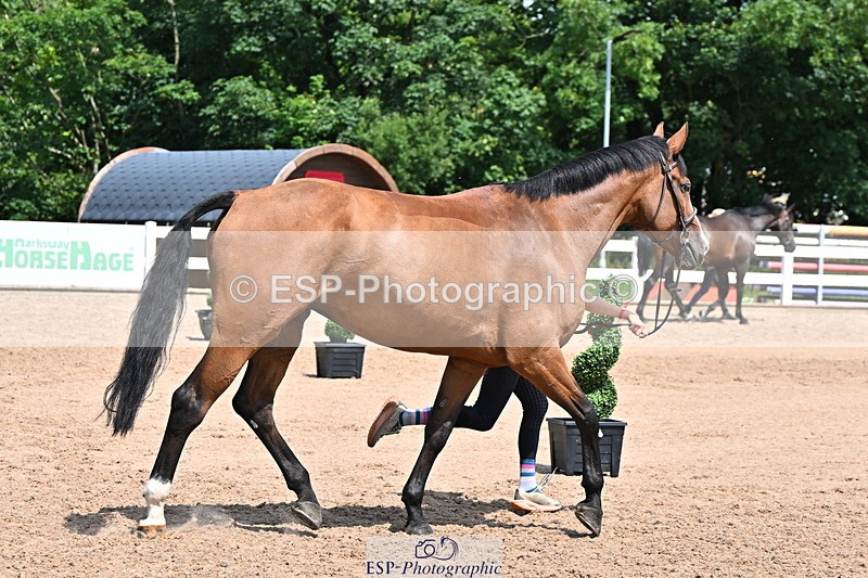 240718A-105257-01373 - Trot Up 12pm to 1pm