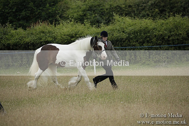 B230619-0073 - Bourne Valley Riding Club Summer Show 23/06/19