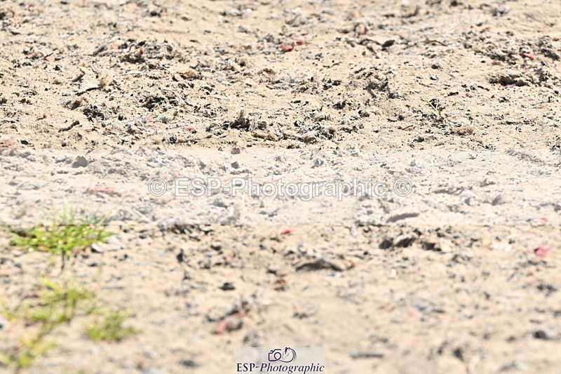 240619A-154844-00988 - Cls 5 Snr Foxhunter and 1.20m Open