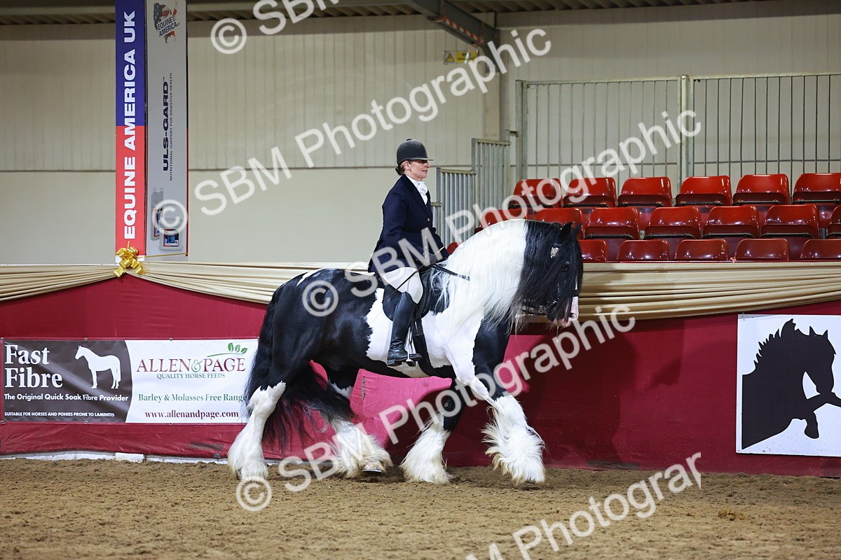 SBM_15495 - Class R - Veteran Champ