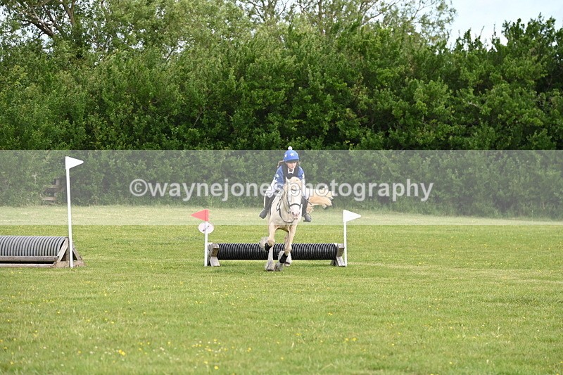 WJ6_2668 - Class 2 40cm