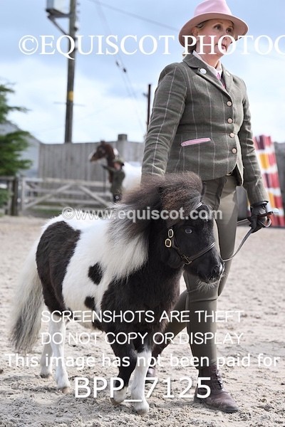 BPP_7125 - RING 1  (RIDDEN HORSES / IN HAND / VETERAN ETC)