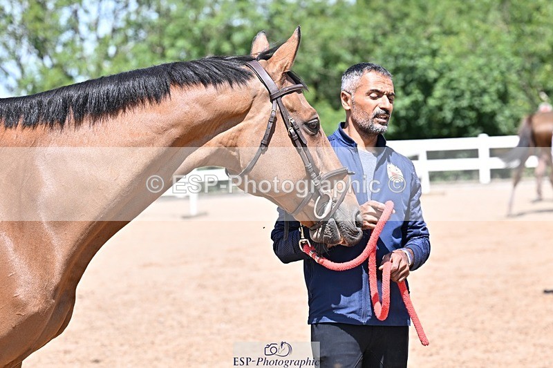 250716-123836-00083 - Trot Up 12.30 to 1.30