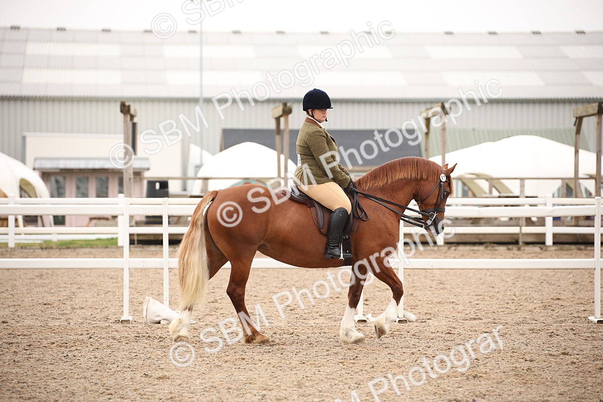 SBM_19307 - Class 701 - Best Turned Out IH & Ridden