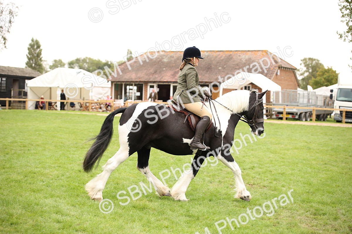 SBM_73496 - S68 - Traditional Cob Ridden