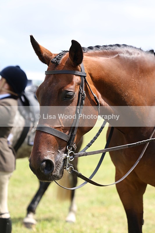 3E7A1601 - Class 9: Open Hunter