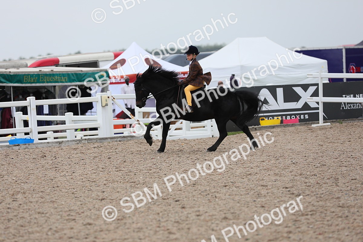 SBM_18144 - Class 316 Best Pony/Rider Combination