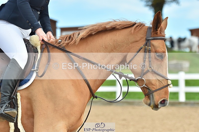 231111A-123540-01900 - Cls 12 Newcomers & 1.10m Open