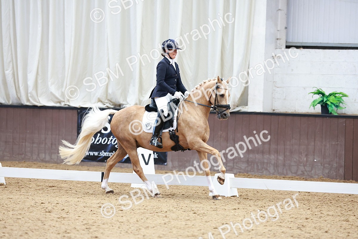 SBM_017318 - Class15 - FEI Pony