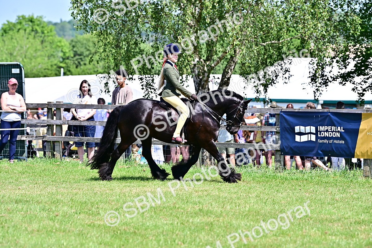 SBM_15319 - Class 95-97 - BSPS LHS Performance Ponies