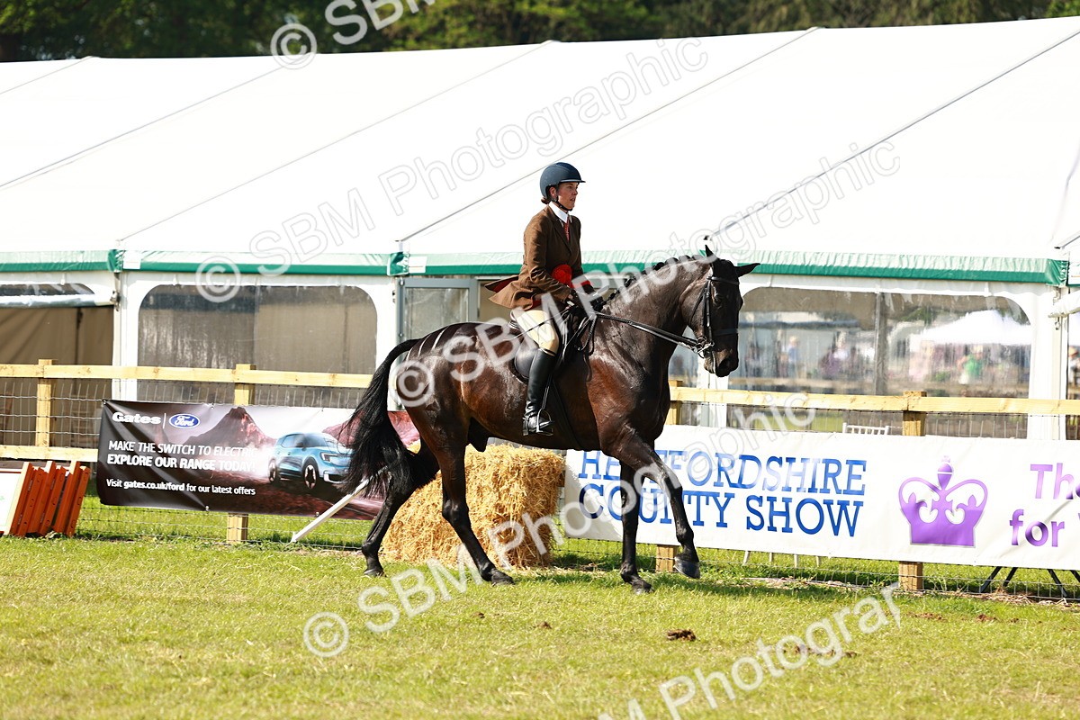 SBM_11925 - Class 66-69 - RIHS Ridden Hunters Inc Small Hunter