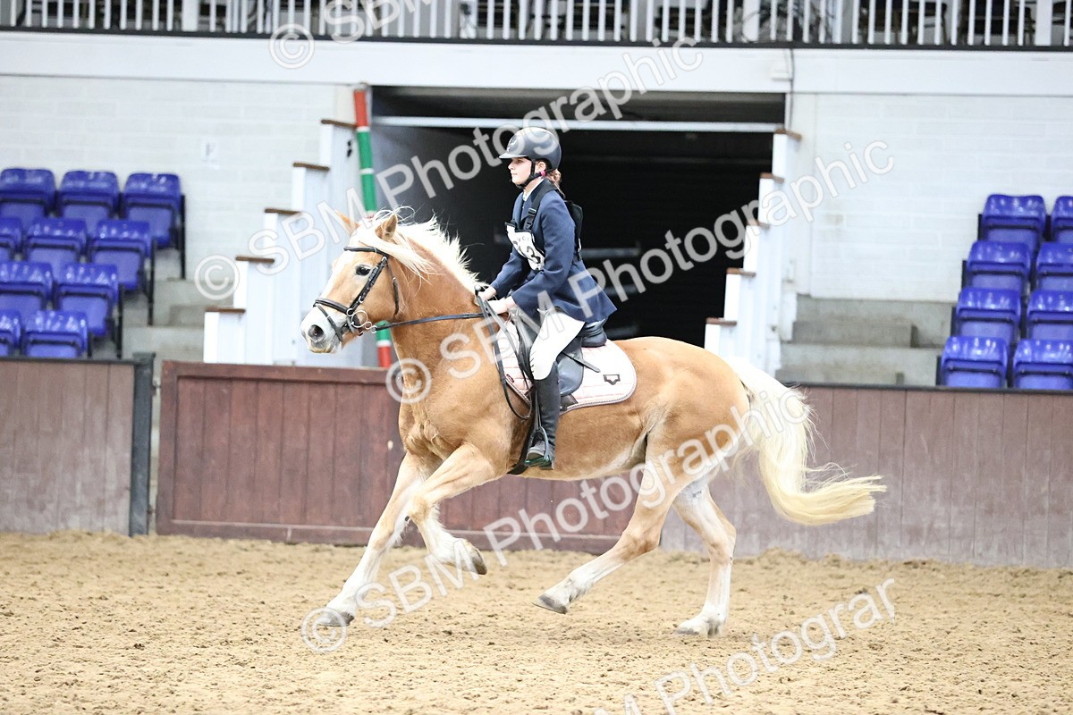 SBM_002022 - Class 5 - Henlow Veterinary Hospital - 70cm Area 12 Championship Qualifier