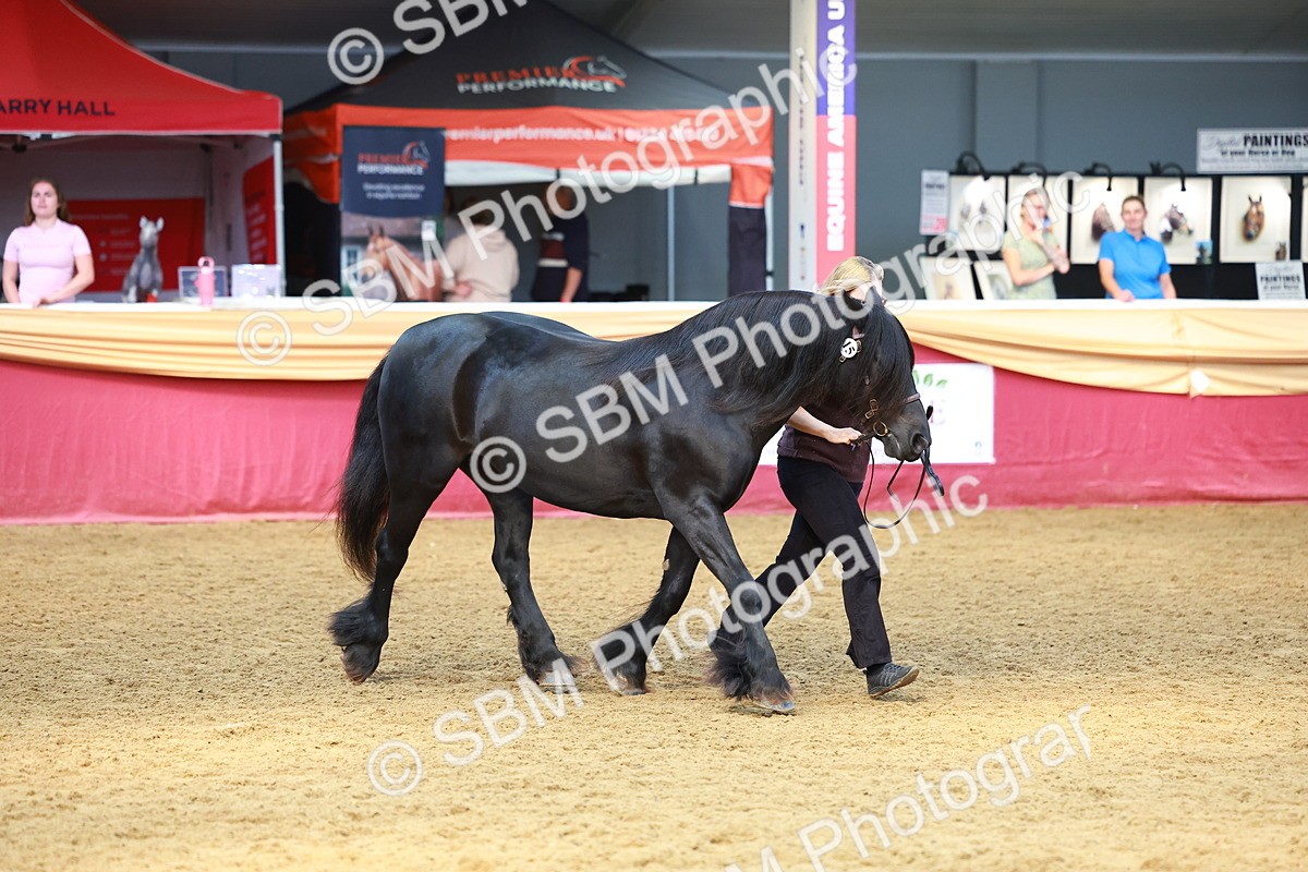 SBM_18485