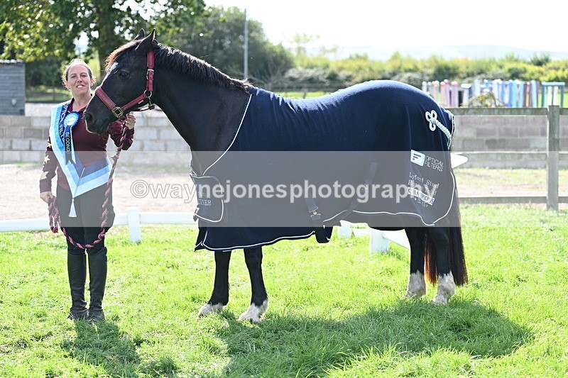 WJ7_1746 - 80cm Champs