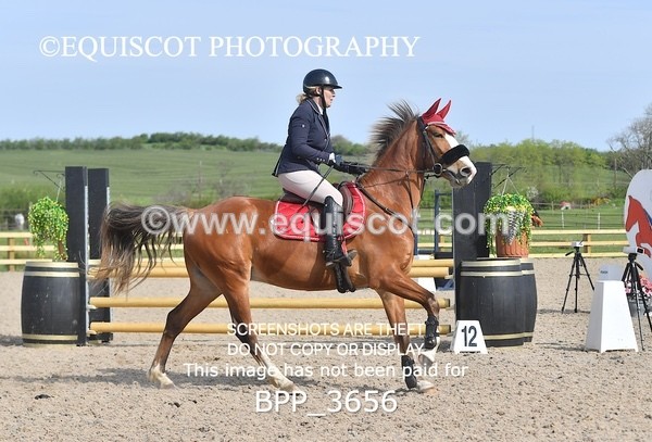 BPP_3656 - CLASS 1 Clear Round Show Jumping