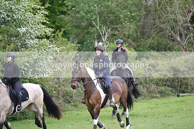 WJ6_2825 - A Camera