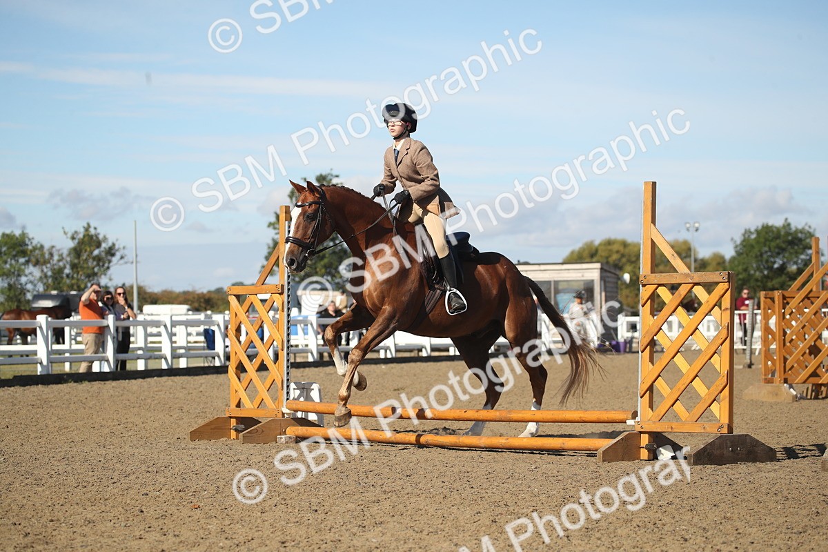 SBM_12716 - Class 504b - Junior Working Veteran - 40cm (20+)