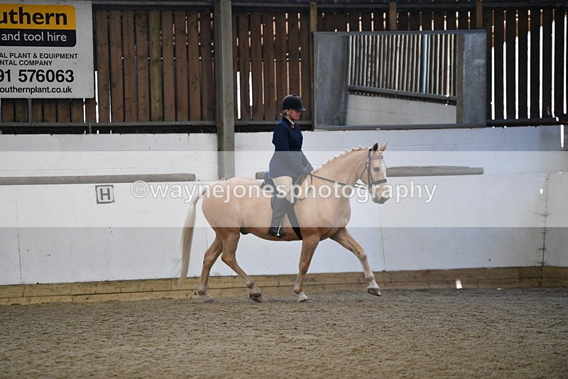 WJ5_5893 - Class 9 Ridden Veteran