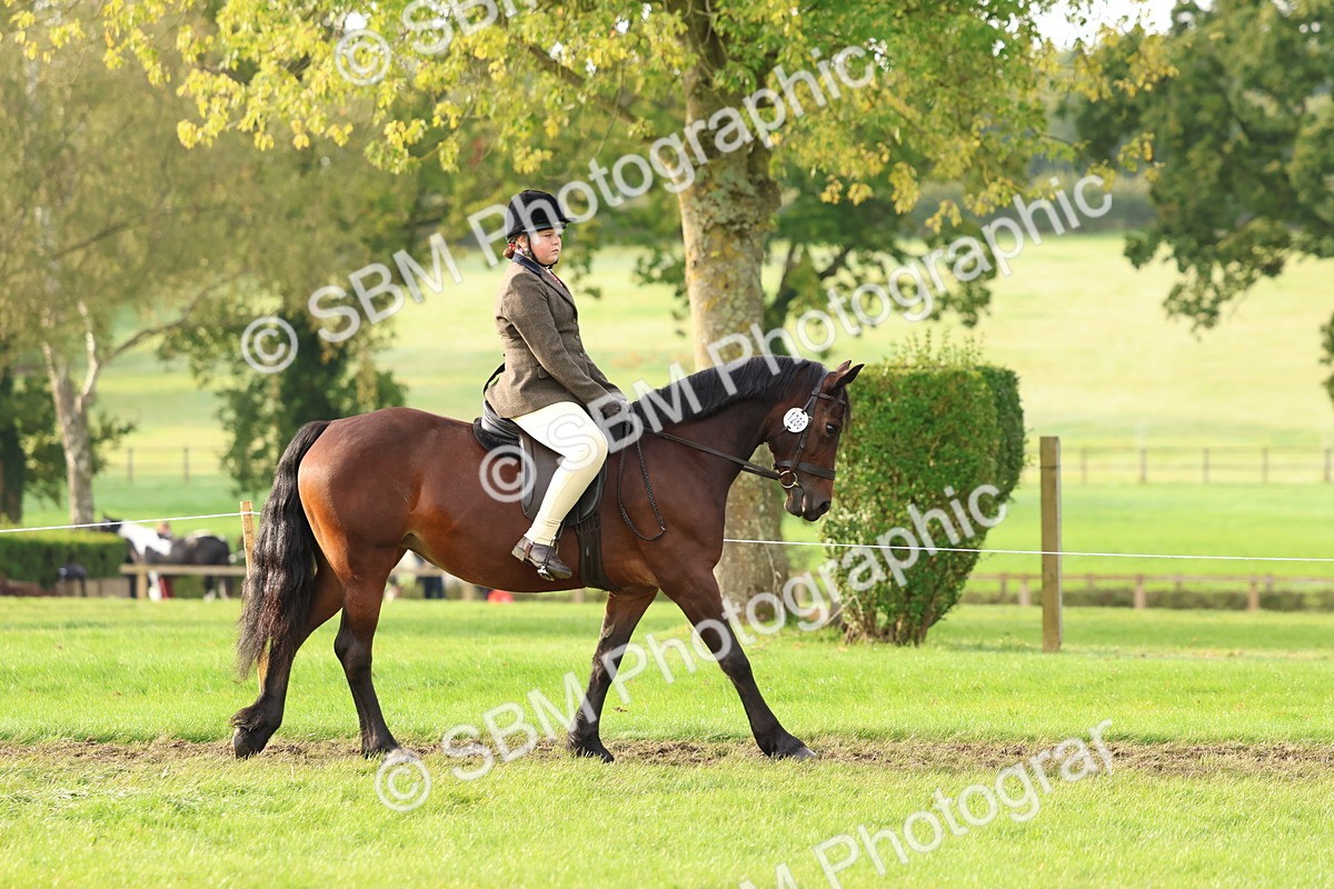 SBM_56543 - S40 - Starters Ridden Showing