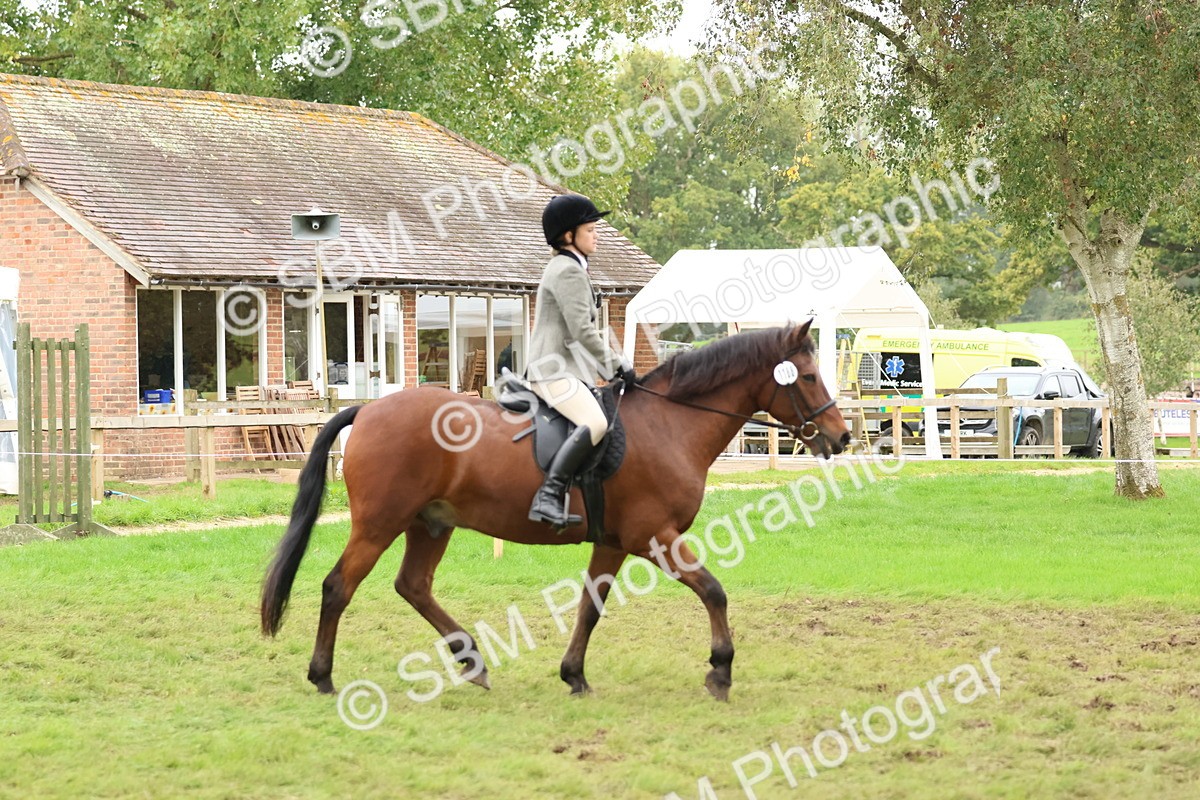 SBM_69558 - S62 - Mountain & Moorland Ridden Large Breeds