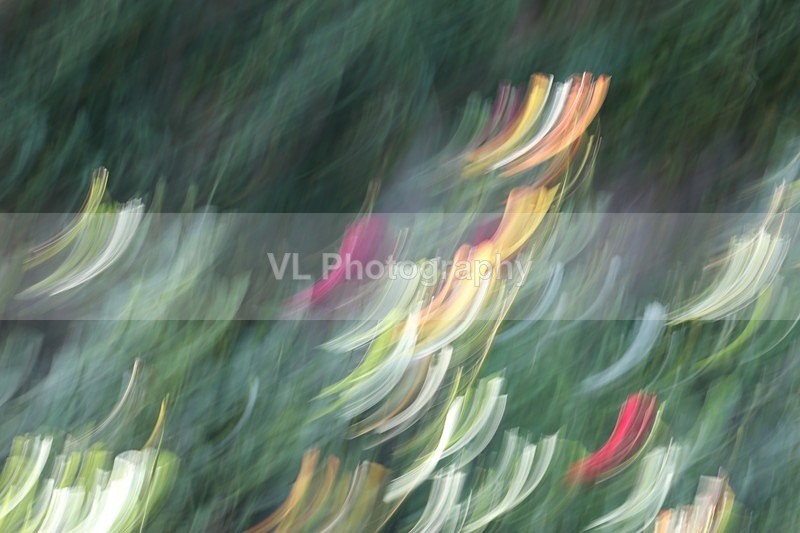 Performance - ICM