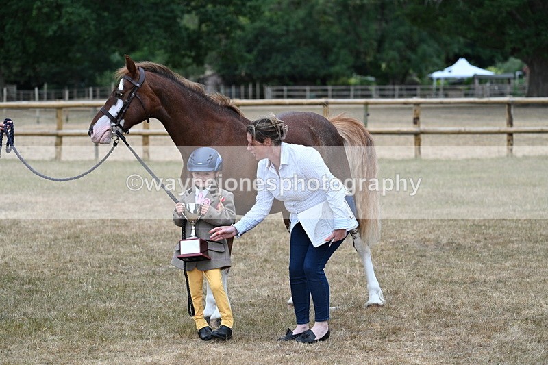 WJ7_9364 - Prettiest Mare Champs