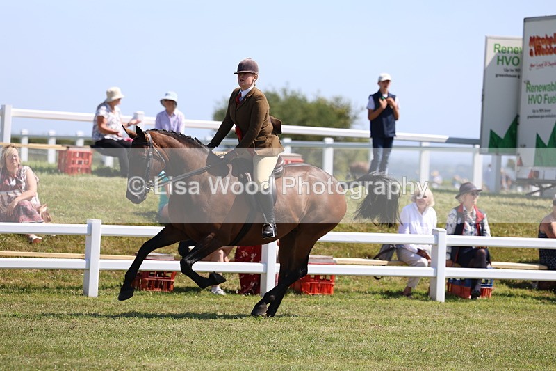 3E7A7593 - Rising Star Ridden Championship
