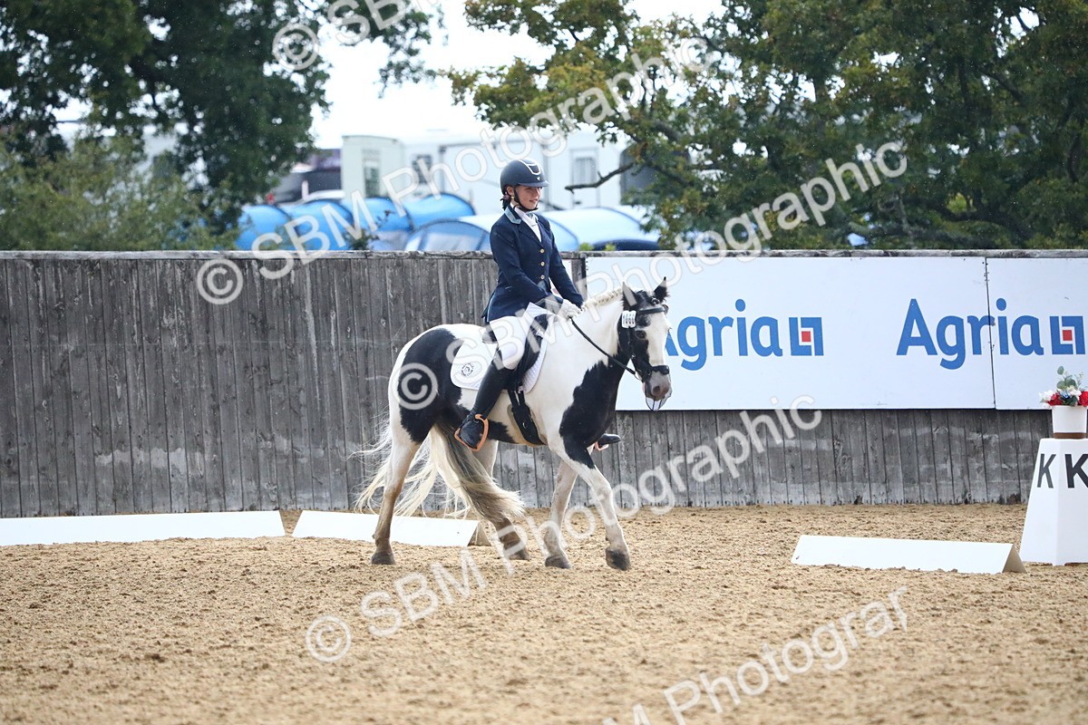 SBM_42789 - D21 - Junior Championship Intro 1
