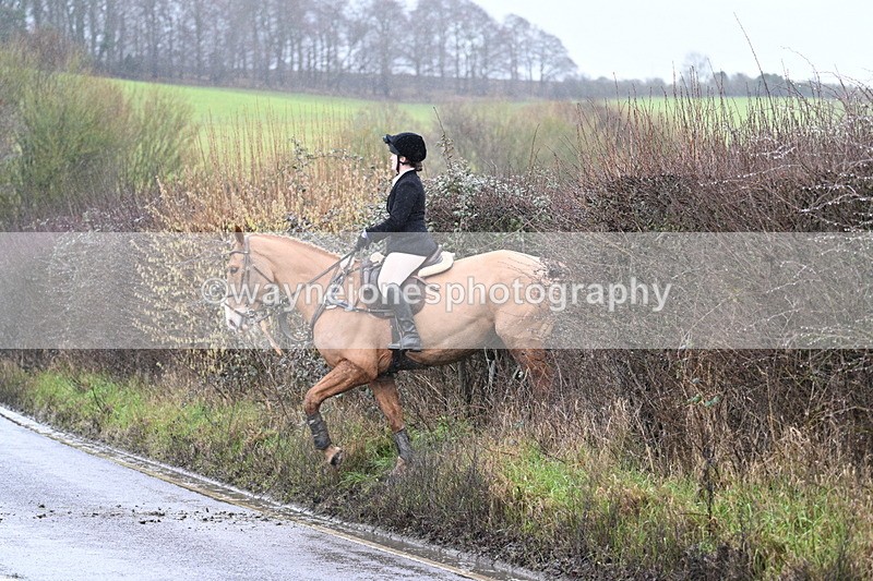 WJ7_7104 - Crossing A Camera