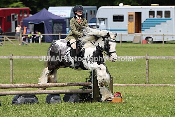 IMG_3172 - Working Hunter