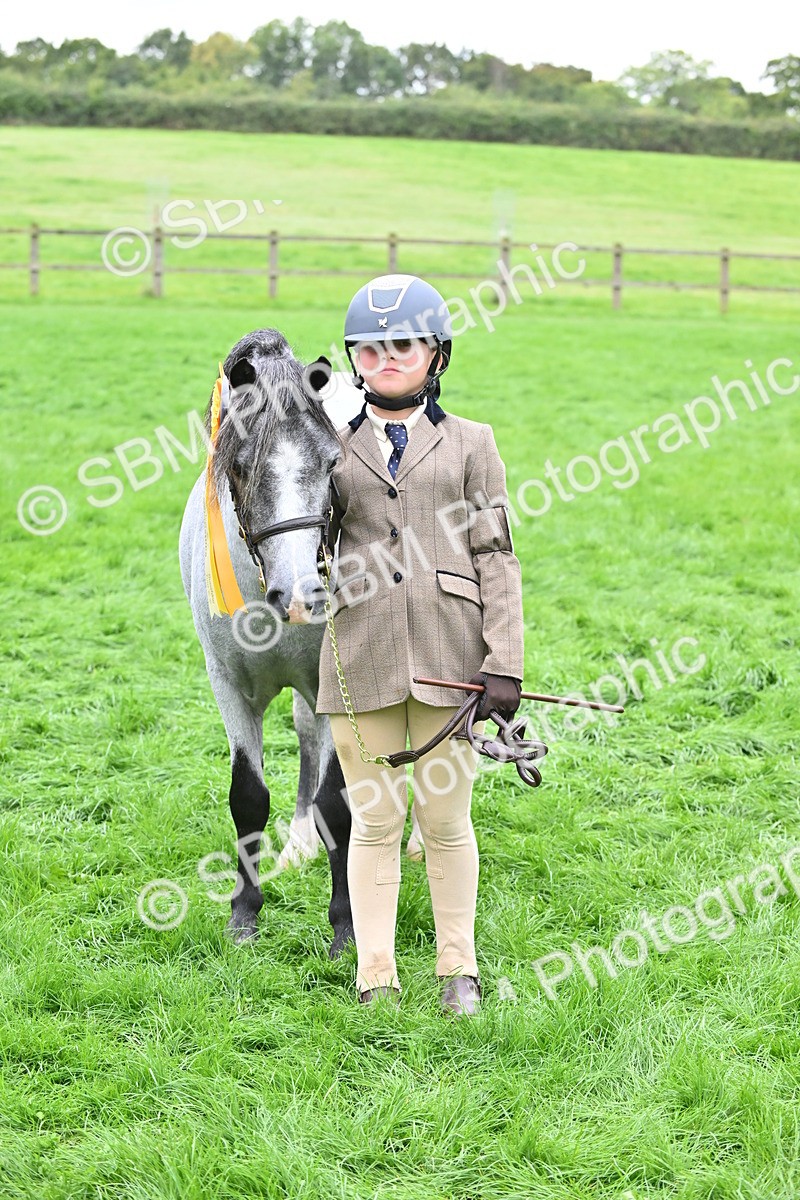 SBM_61063 - S48 - Mountain & Moorland In Hand Small Breeds