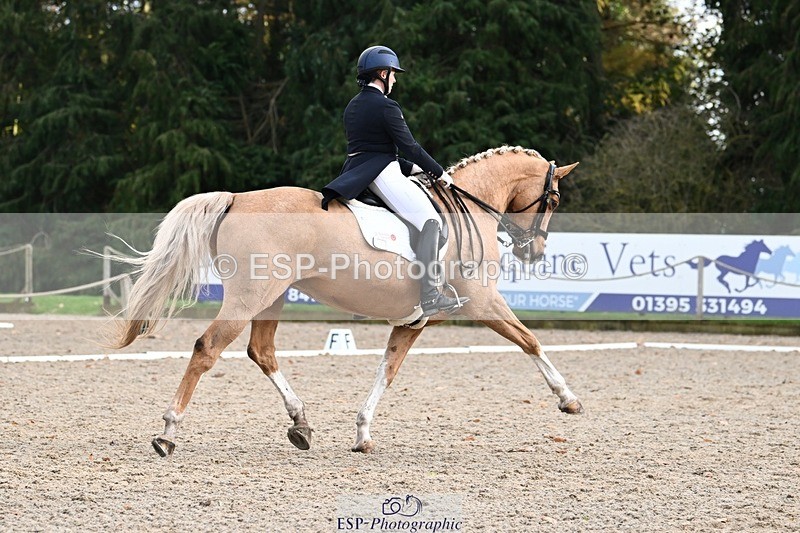 231110-152936-02213 - Cls 11 FEI PSG