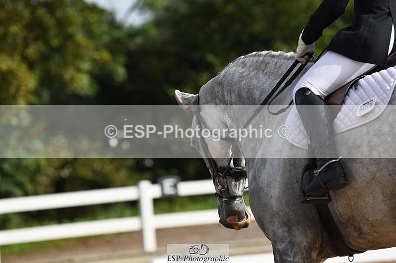 230912A-100720-00247 - Cls 2 Prelim 19