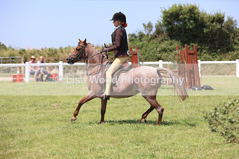 JPP_2967 - Class 22: Working Hunter 70cm