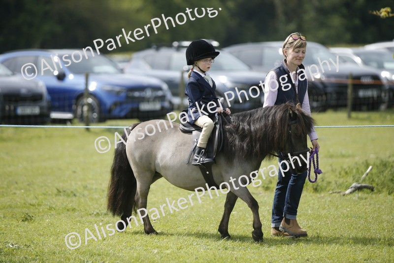 20260426-1864 - Class 7 - Pony Judge Would Most Like To Take Home
