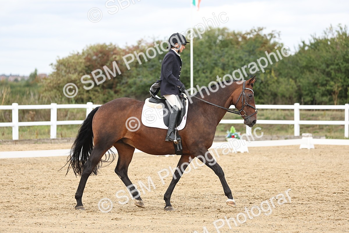 SBM_002673 - Class 7 - Novice 2 Warm Up