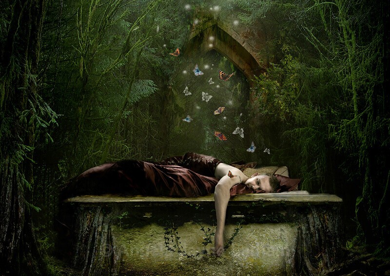 Sleeps with Butterflies - The Wheel of the Year