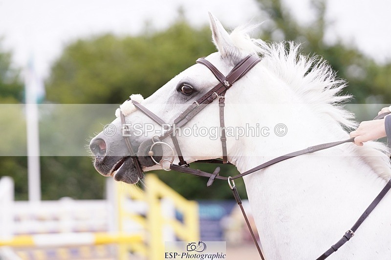 250629-114802-10982 - Cls 36 Pony Discovery & 90cm Open