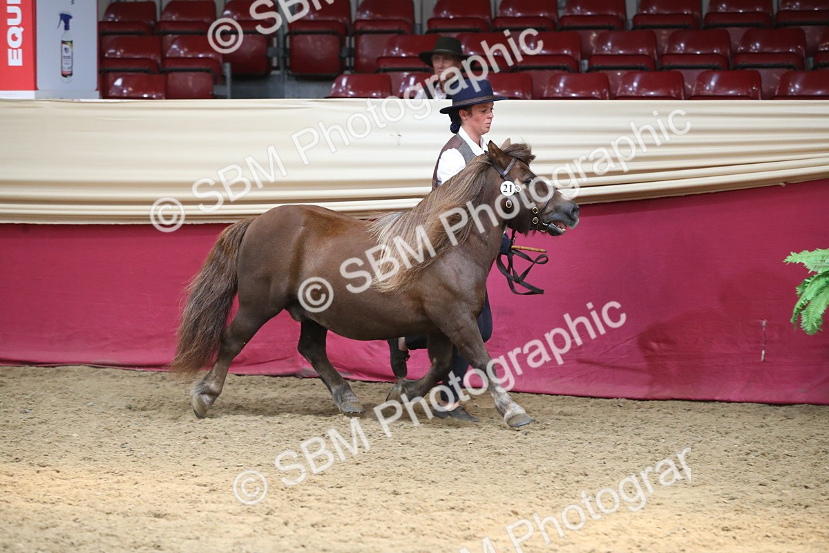 SBM_05461 - Class 8R - Regional IH Veteran