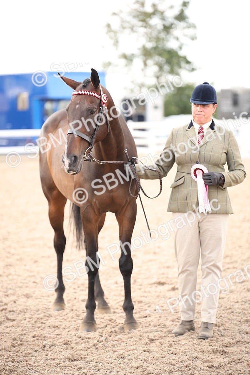 SBM_08266 - Class 27 - IH Competition Horse-Pony